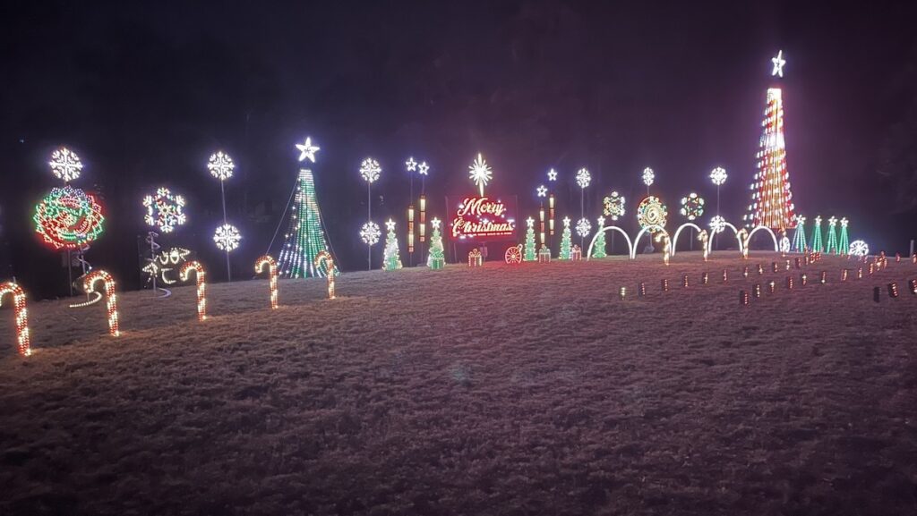 2025 Backyard Christmas Light Show